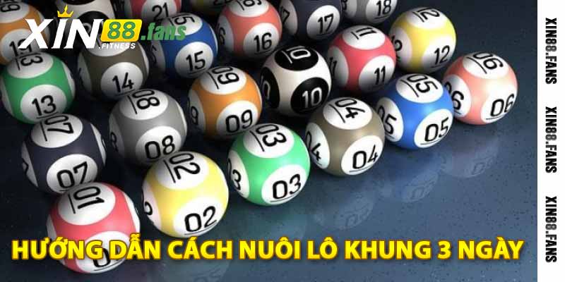 hướng dẫn cách nuôi lô khung 3 ngày