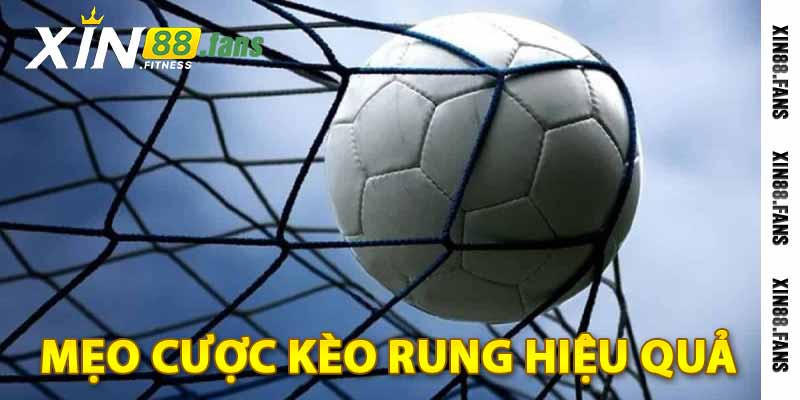 mẹo cược kèo rung hiệu quả