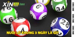 nuôi lô khung 3 ngày là gì?