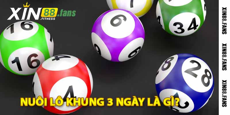 nuôi lô khung 3 ngày là gì?